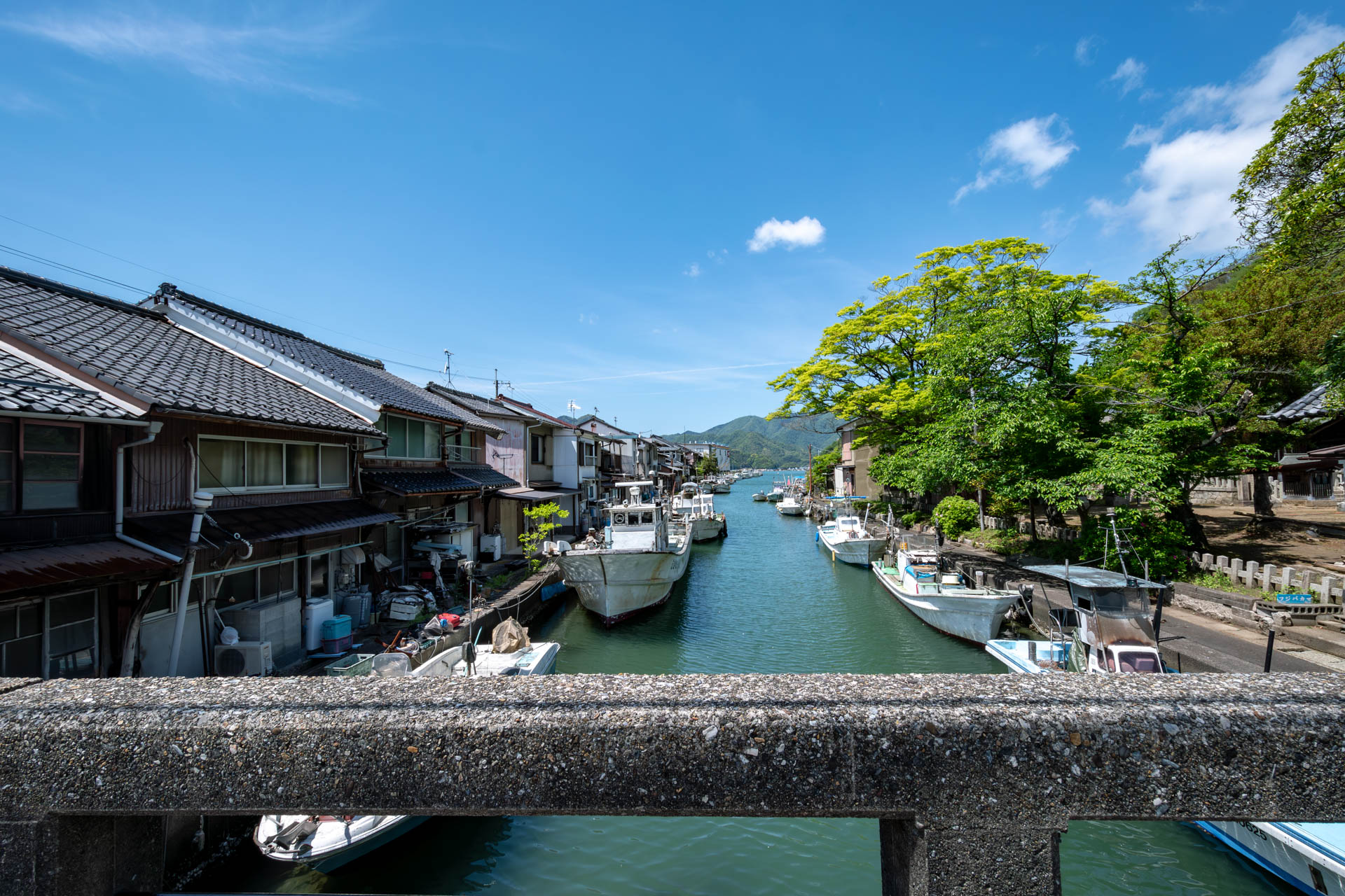 自然が豊かな港町