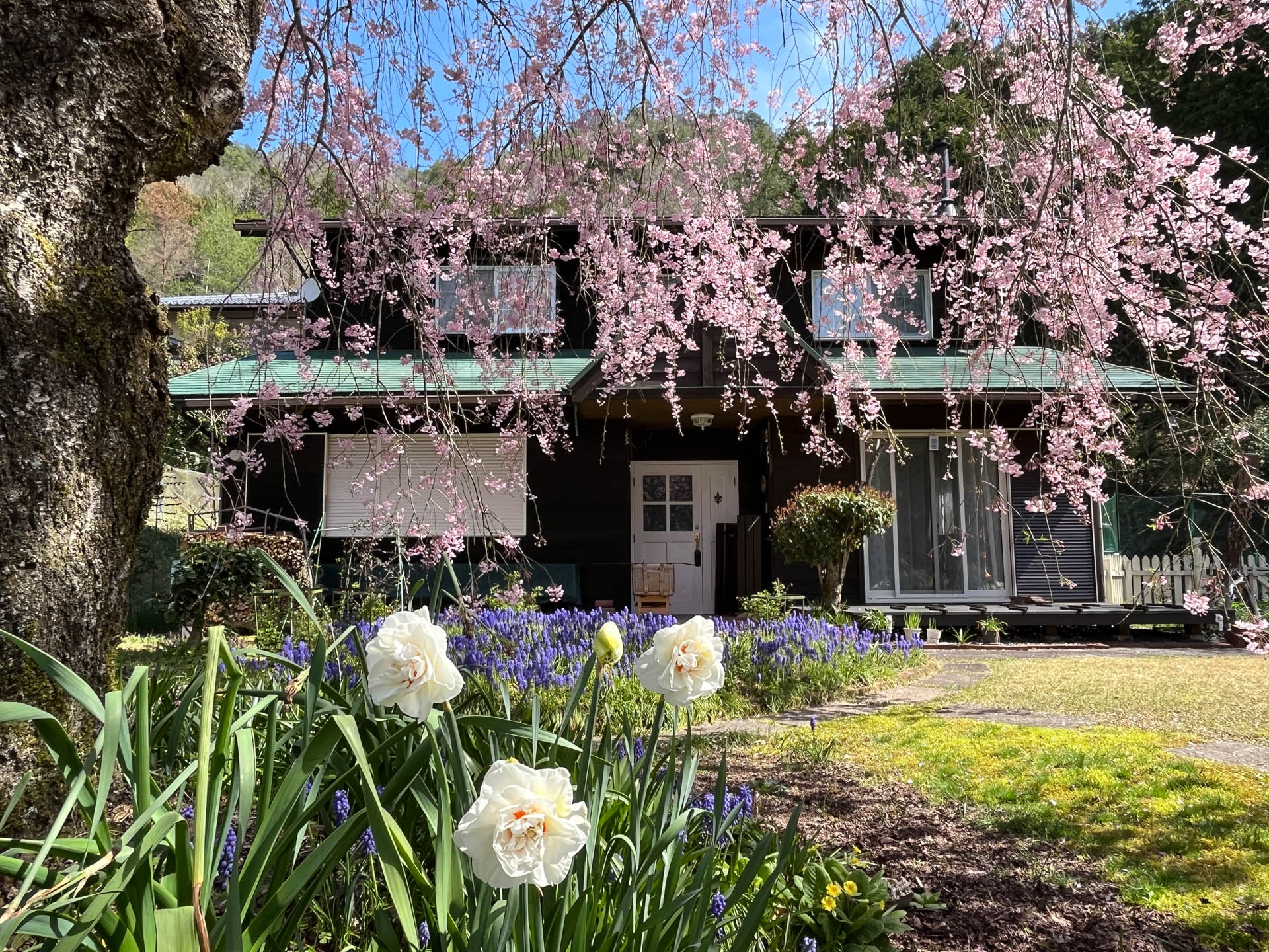 上京区上柳原町 PC用