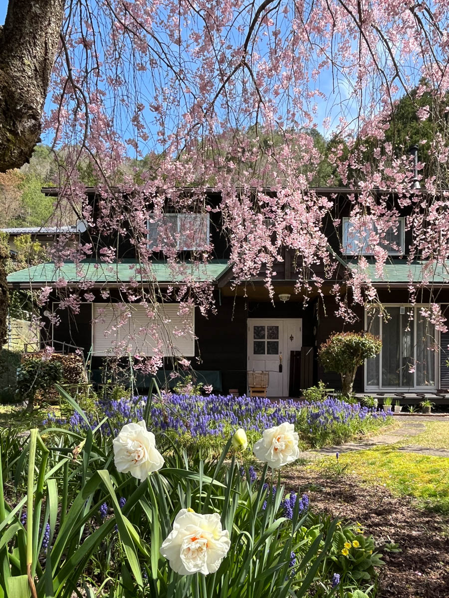 上京区上柳原町 スマホ用