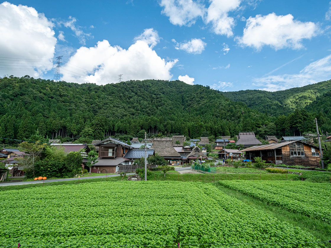 かやぶきの里・夏