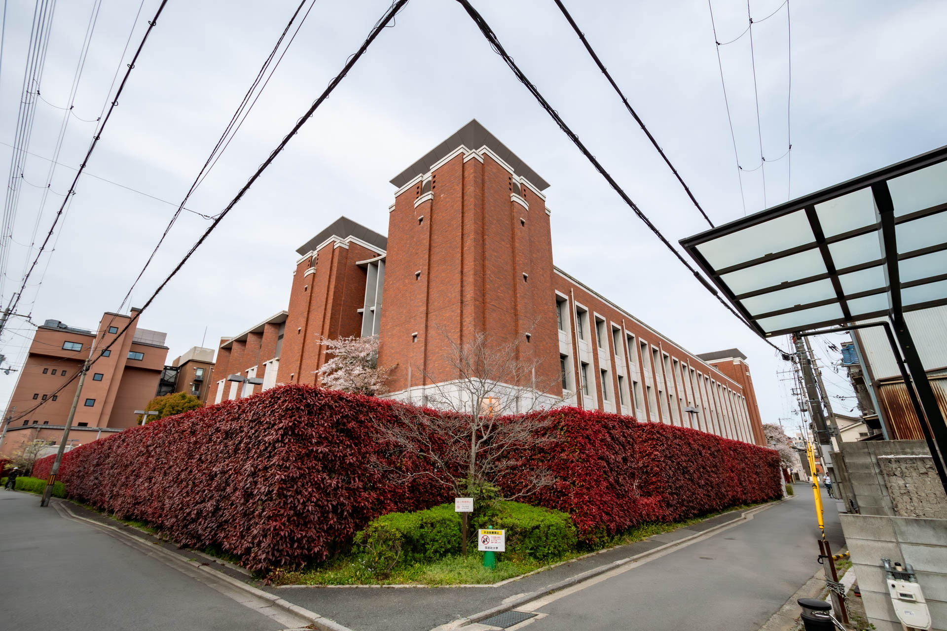 ダイニグキッチン