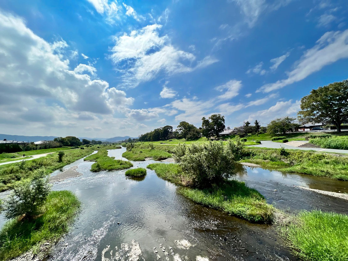 賀茂川を眺める
