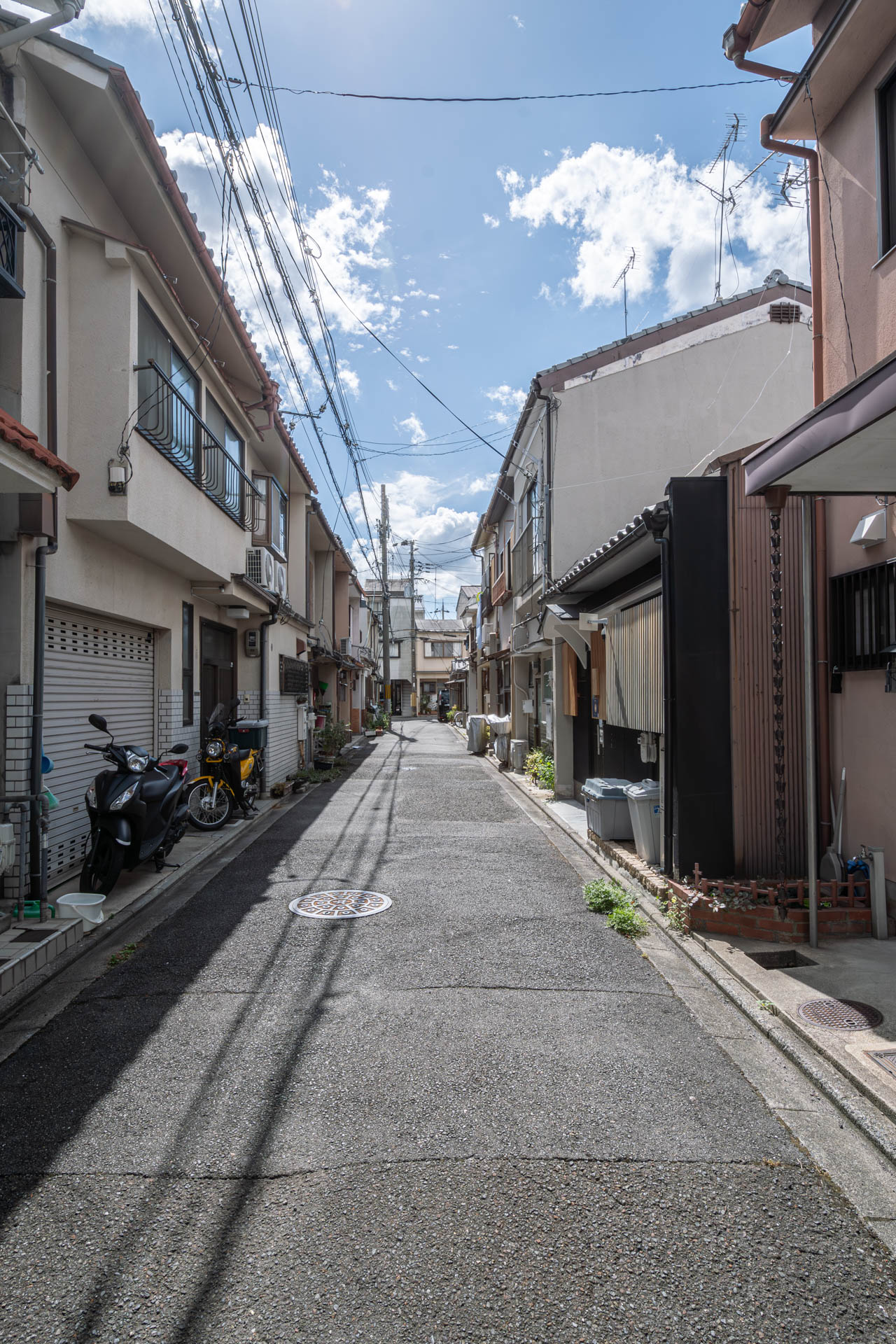 賀茂川を眺める